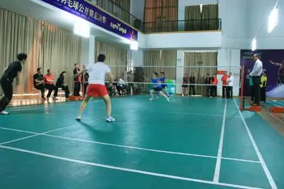 了来访的拉
