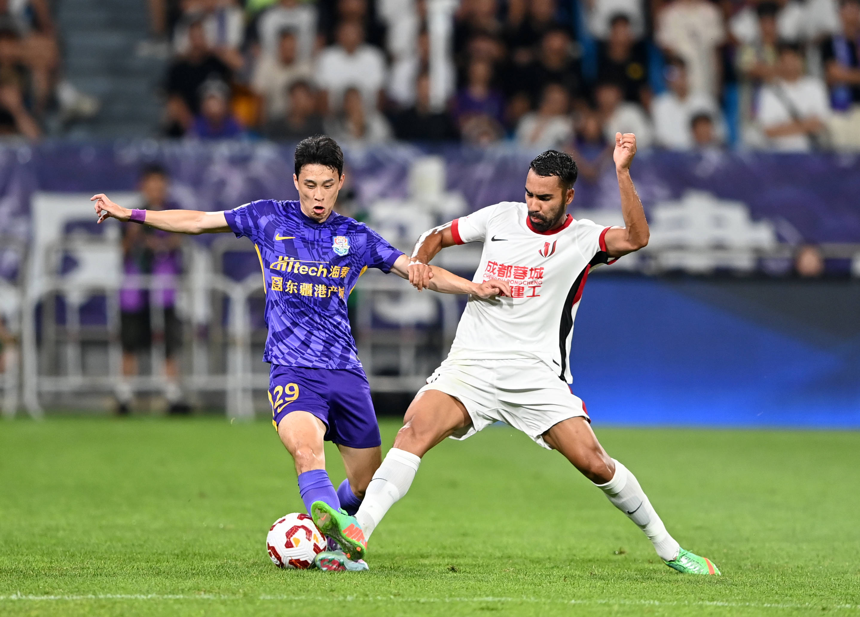 他们有效限 他们有效限