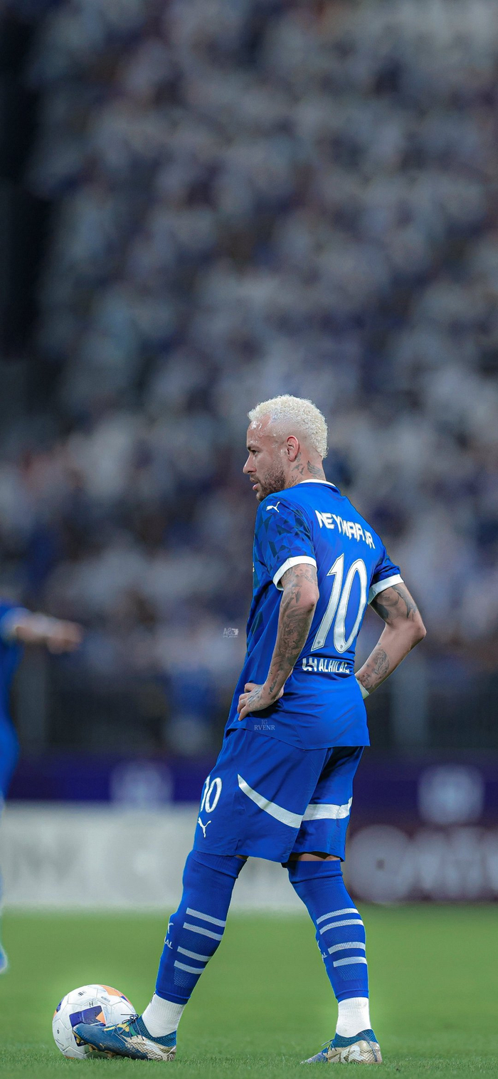 在意甲赛场 在意甲赛场